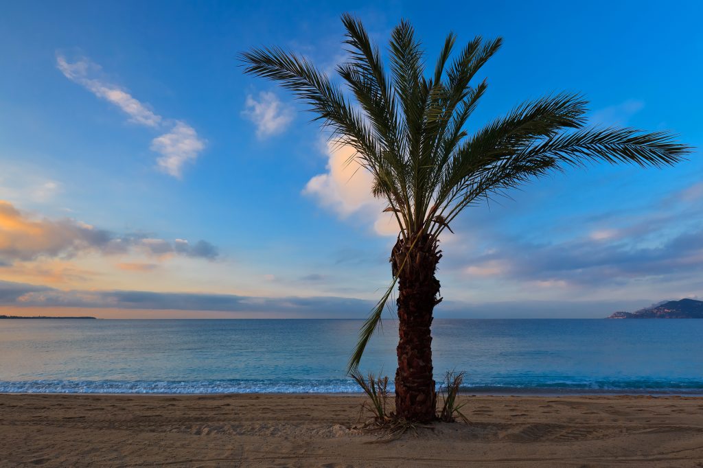 Sun, Sand, and Bliss: Discovering the Best Beaches in Torrevieja